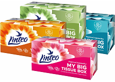 Linteo chusteczki papierowe 2-warstwowe w pudełku, 200 szt.