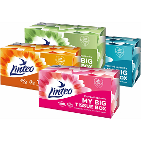 Linteo chusteczki papierowe 2-warstwowe w pudełku, 200 szt.