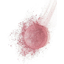 Bourjois Fard Pastel Joues róż 54 Rose Frisson 2,5 g