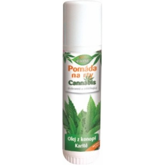 Bione Cosmetics Cannabis pomada do ust 5 ml