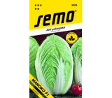 Semo Kapusta pekińska Manoko F1 hybrid 40 nasion