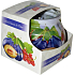 Admit Red Currant & Plum - Červený rybíz a švestka dekorativní aromatická svíčka ve skle 80 g