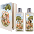 Bohemia Gifts Bajka o wróżkach żel pod prysznic 250 ml + szampon do włosów 250 ml, książka kosmetyczna zestaw dla kobiet
