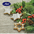 Nekupto Serwetka 33 x 33 cm NUT szare piórka, cis, gałązki