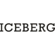 Iceberg