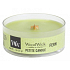 WoodWick Fern - Kapradina vonná svíčka s dřevěným knotem petite 31 g