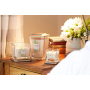 Yankee Candle Citrus Grove - Citrusový háj sojová vonná svíčka Elevation střední sklo 3 knoty 347 g