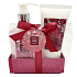 Salsa Collection Kořeněný zázvor sprchový gel 260 ml + tělové mléko 150 ml, 2 dílný dárkový set