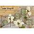 Lima Wellness Present Borový les aroma svíčka zelená koule 80 mm 1 kus
