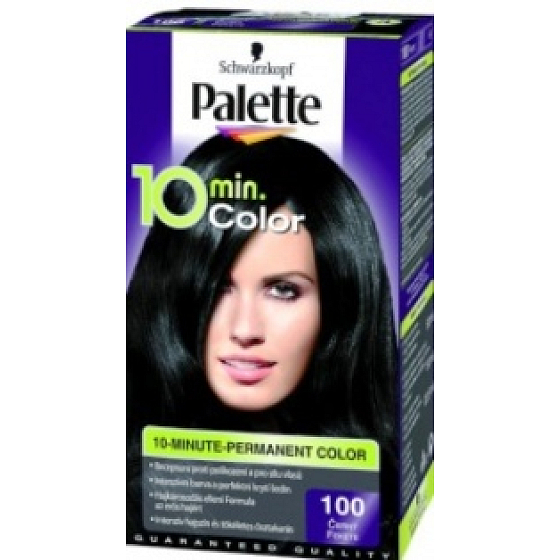 Schwarzkopf Palette 10 minut Color barva na vlasy 100 Černá