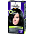 Schwarzkopf Palette 10 minut Color barva na vlasy 100 Černá