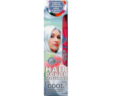 Wats Élyseés Kolorowe kredki do włosów 63 Srebrny 75 ml