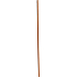 Clanax Hůl dřevěná, délka 160 cm