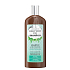 Biotter GlySkinCare Organický konopný olej šampon na mastné vlasy 250 ml