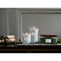 WoodWick Magnolia Birch - Magnólie a bříza vonná svíčka s dřevěným knotem a víčkem sklo střední 275 g