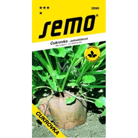 Semo Cukrovka jednoklíčková Denzel hybridní odrůda s velmi vysokou cukernatostí 40 semen