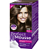 Schwarzkopf Perfect Mousse Permanent Foam Color barva na vlasy 600 Světle hnědý