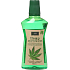 Xoc Hemp Mouthwash ústní voda s konopným extraktem 500 ml