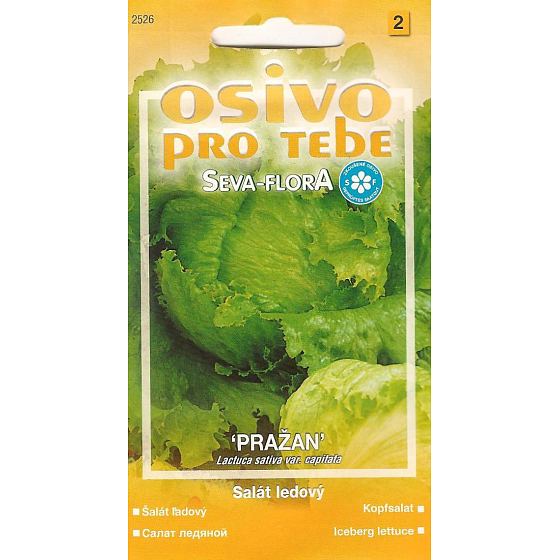 Seva - Flora Salát ledový Pražan 0,5 g