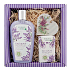 Bohemia Gifts Lawendowy kremowy żel pod prysznic 250 ml + mydło 100 g + drewniane serce różne motywy, zestaw kosmetyczny