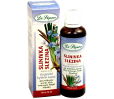 Dr. Popov Slinivka Śledziona oryginalne ziołowe krople 50 ml