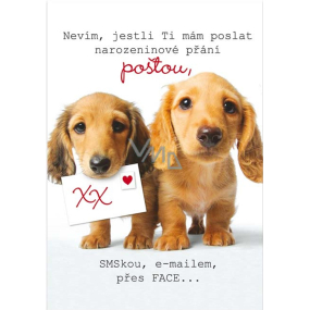 Ditipo Hrací přání K narozeninám Nevím, jestli ti mám poslat narozeninové přání Lucie Vondráčková Kdo tě má rád 224 x 157 mm