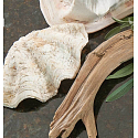 Village Candle Mořská svěžest - Seashore Driftwood vonná svíčka ve skle 2 knoty 602 g