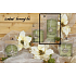 Lima Wellness Present Borowy las aromatyczna świeca zielona walec 70 x 150 mm 1 sztuka