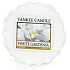 Yankee Candle White Gardenia - Bílá gardénie vonný vosk do aromalampy 22 g