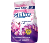 Gallus proszek do prania, 120 porcji, kolor, 6,6 kg