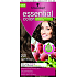 Schwarzkopf Essential Color dlouhotrvající barva na vlasy 240 Světle hnědá