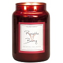 Village Candle Růže a červené ovoce - Rosette Berry vonná svíčka ve skle 2 knoty 602 g