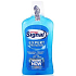 Signal White Now ústní voda 500 ml
