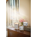 Yankee Candle Passionflower - Květ vášně sojová vonná svíčka Elevation malá sklo 1 knot 96 g
