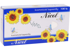 Nicol 2-warstwowe chusteczki papierowe w pudełku, 100 sztuk