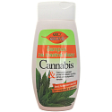 Bione Cosmetics Cannabis szampon do tłustych włosów 260 ml