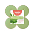 Bolsius Aromatic 2.0 Green Tea - Zelený čaj maxi vonné čajové svíčky 8 kusů, doba hoření 8 hodin