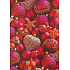 Ditipo Dárkový balicí papír 70 x 200 cm Vánoční červený červené baňky