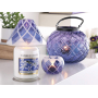 Yankee Candle Midnight Jasmine - Půlnoční jasmín vonný vosk do aromalampy 22 g