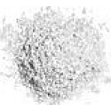 Essence Colour Arts Pigments 05 Star Dust 1,8 g
