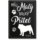 Nekupto Mazlící magnet Buldok 66 x 90 x 2 mm