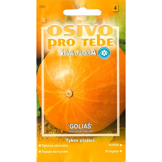 Seva - Flora Tykev plazivá Goliáš 3 g