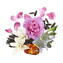 Compagnia Delle Indie 13 Peony and Amber woda perfumowana dla kobiet 75 ml