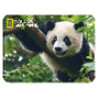 Prime3D magnet - Panda 9 x 7 cm