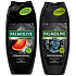 Palmolive Men Energising 3v1 sprchový gel pro muže 250 ml + Men Refreshing 3v1 sprchový gel na tělo, tvář a vlasy 250 ml, 18 kusů karton
