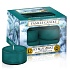 Yankee Candle Icy Blue Spruce - Zledovatělý modrý smrk vonná čajová svíčka 12 x 9,8 g