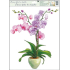 Okenní fólie bez lepidla orchideje světle růžová 42 x 30 cm
