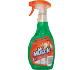 Mr. Muscle 5v1 Okna a sklo čistící prostředek rozprašovač 500 ml