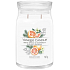 Yankee Candle White Spruce & Grapefruit - Bílý smrk a grapefruit vonná svíčka Signature velká sklo 2 knoty 567 g