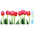 Arch Całoroczna naklejka, okienna folia bez kleju Pas różowych tulipanów 35 x 16 cm
